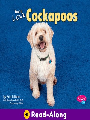 cover image of You'll Love Cockapoos